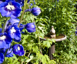 Fountain
