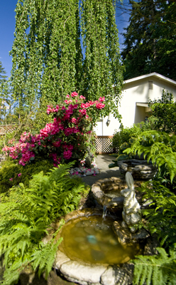 Fountain2