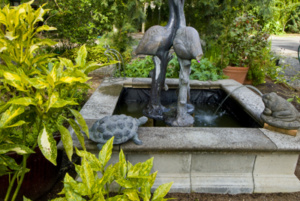 Fountain3