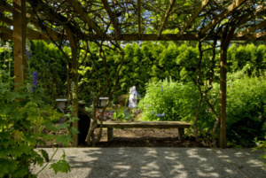 Garden2