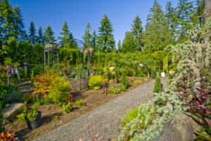 Garden3