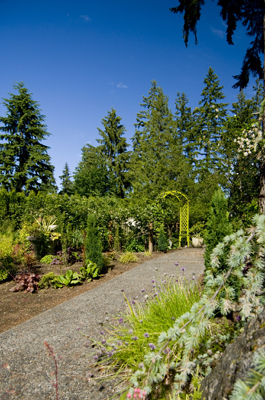 Path3